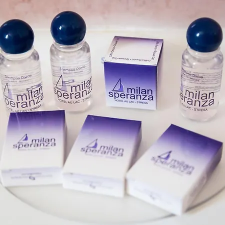 酒店 米兰斯佩兰莎奥拉克酒店 斯特雷萨